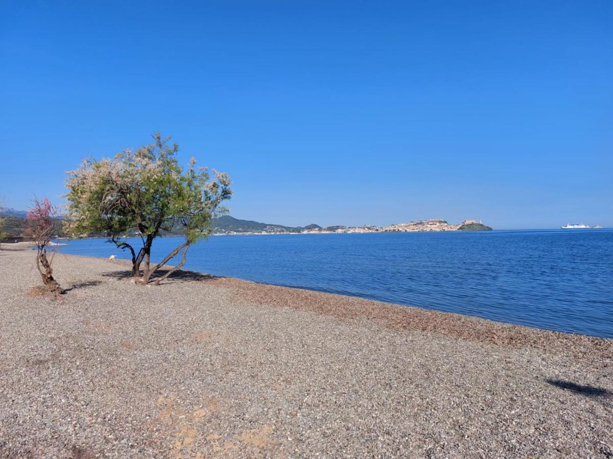 Villa Giolu Portoferraio Zewnętrze zdjęcie