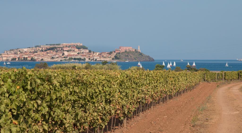 Villa Giolu Portoferraio Zewnętrze zdjęcie